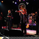 Hazmat Modine im Thaler Areal Hard