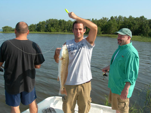 dabo_florida_bild7.jpg