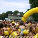 2713625.jpg