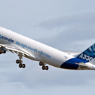 dc1-5rpxge859cnhsj0nlb6_original.jpg