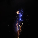 2779422.jpg