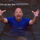 2782066.jpg