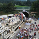 2794984.jpg