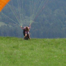 2802991.jpg