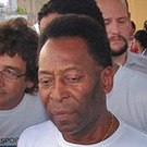 2817049.jpg