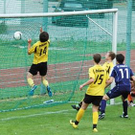 2821650.jpg