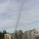 2853671.jpg