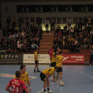 2860648.jpg