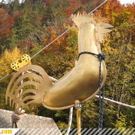 2863403.jpg