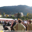 2863570.jpg