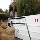 Die Bilder der Ankunft