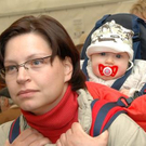 2890074.jpg