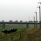 2902901.jpg