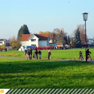 2930155.jpg