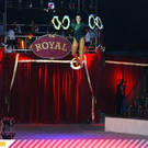 2934507.jpg