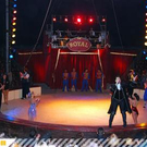 2934516.jpg