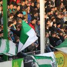 dc1-5rr128sjeja1d22al9kz_original.jpg