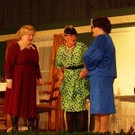 3053908.jpg