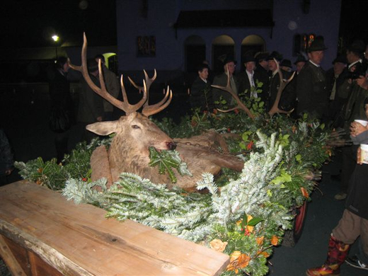 IMG_3382.JPG