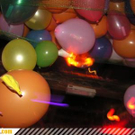 3071481.jpg
