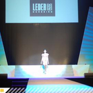 3105849.jpg