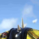 3133546.jpg