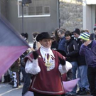 3135181.jpg