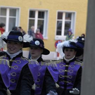 3135191.jpg