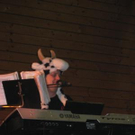 3142598.jpg