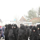 3146019.jpg