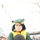 3146053.jpg