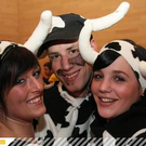 Faschingsnarren beim Maedleball