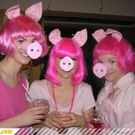 3151675.jpg