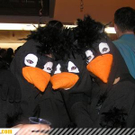3151685.jpg