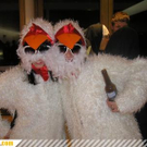 3151708.jpg