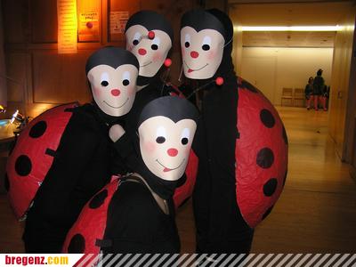 3151806.jpg