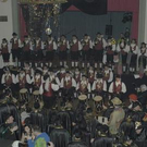 3153158.jpg