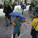 3153244.jpg