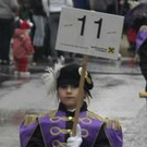 3153278.jpg