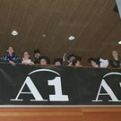 3158327.jpg