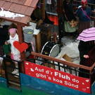 3163343.jpg