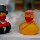 hochzeit190.jpg