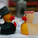 hochzeit191.jpg