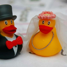 hochzeit193.jpg