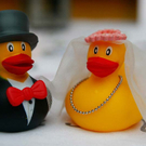 hochzeit194.jpg