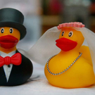 hochzeit195.jpg