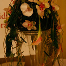 hochzeit206.jpg