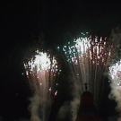 3183225.jpg