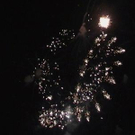 3183881.jpg