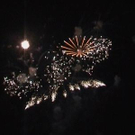 3183882.jpg